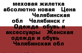 меховая жилетка, абсолютно новая › Цена ­ 20 500 - Челябинская обл., Челябинск г. Одежда, обувь и аксессуары » Женская одежда и обувь   . Челябинская обл.